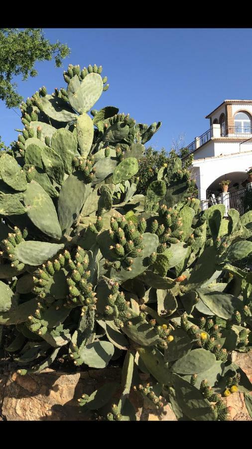 Cortijo la Umbria Villa Villanueva De Algaidas Exterior foto